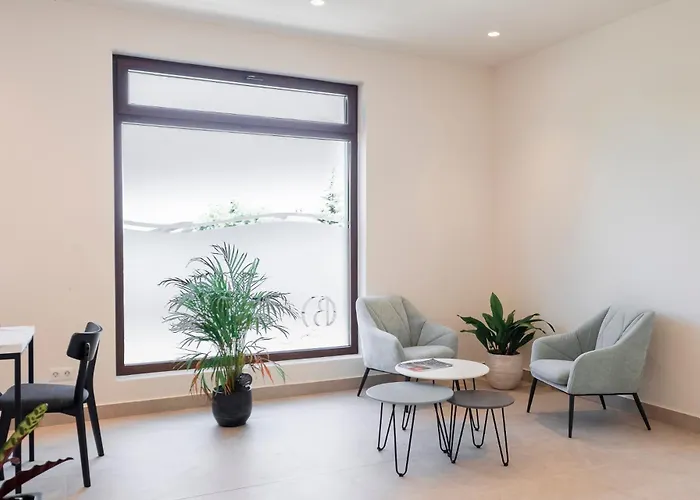 Brisa De Quintres Ajo