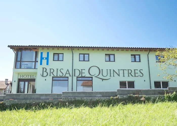 Brisa De Quintres Ajo