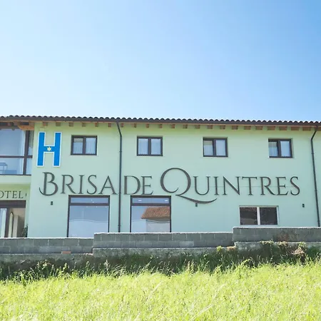 Brisa De Quintres Ajo